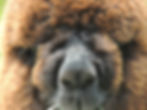 DSCN8330.JPG
