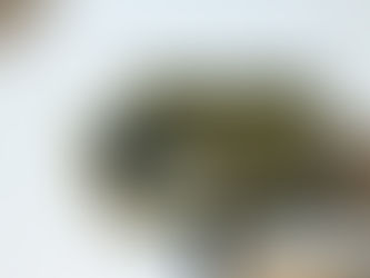 The Secret behind Workplace Productivity