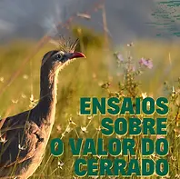 Cópia de ensaios goianos.webp