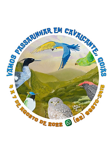 Dá uma olhada no design que eu fiz no Canva!.png