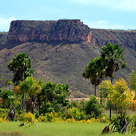 O-2o-Boletim-de-Desmatamento-do-Tocantins-traz-ainda-a-reducao-de-443-de-area-desmatada-no