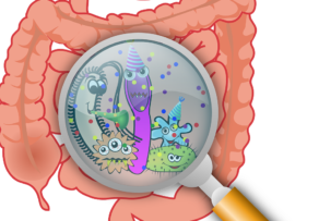 IBS (sindrome dell’intestino irritabile): un disturbo bio-psico-sociale