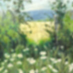 30x30 Thomas Hayes Ecological Park $395