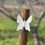 Miniatura: Borboleta Medio