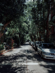 慢遊台北富錦街 Fujin Tree