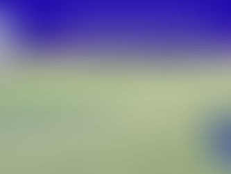 Koop symbolisch een stukje van ons veld