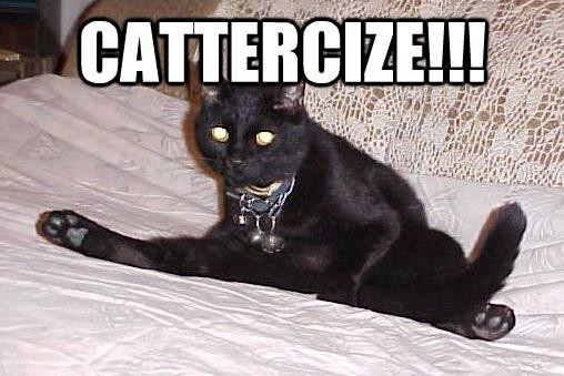 catercize.jpeg