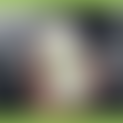 A cell phone displays a GPS map