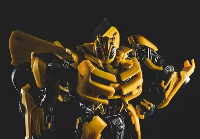 bumblebee_edited.jpg
