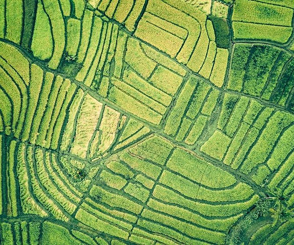 Photo by Ivan Bandura on Unsplash.jpeg