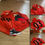 Thumbnail: Highoff Racks Zipup Hoodies 