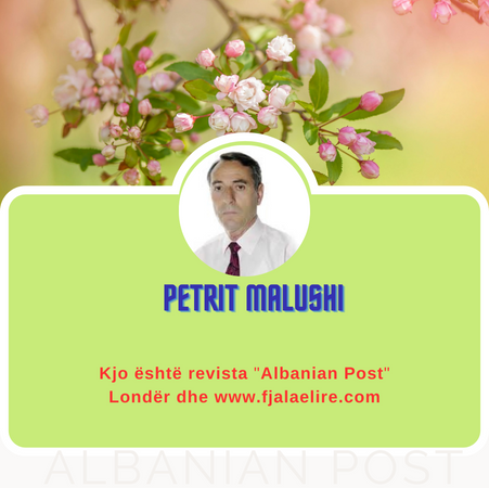 Petrit  Malushi: Banorët e rinj të pallatit tim