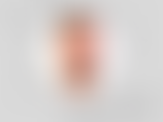 Nikolin Sh. Lëmezhi: Ndëshkohet mëkati dhe jo mëkatari…