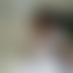 ... në mungesë të librit, nëpërmjet një cope leximi marrë nga gazeta greke “Ta Nea“