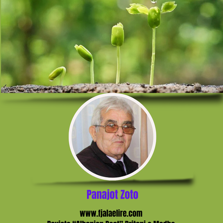 Panajot Zoto: PADREJTËSI