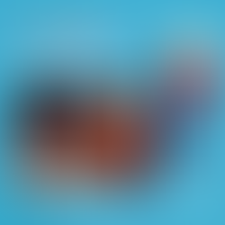 NJERIU    FISNIK  STERJO   SPASSE…