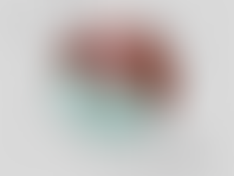 Timo Mërkuri: ZVOGËLIMI I PYLLIT BRENDA NJERIUT