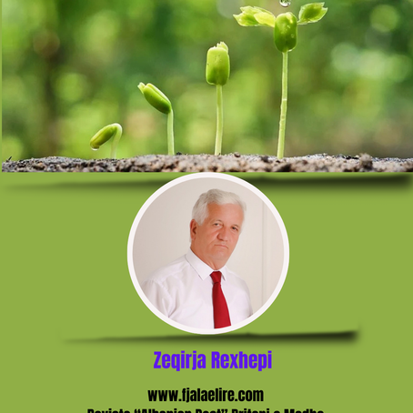 Fatmir Terziu: Kur një mesazh zemre krijon diskurs për thelbin e një teme