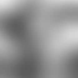 Ana tjetër e shkrimtares 