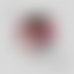 BUJAR QESJA: Grua që rritet me dritë dhe udhëheq me shpirt