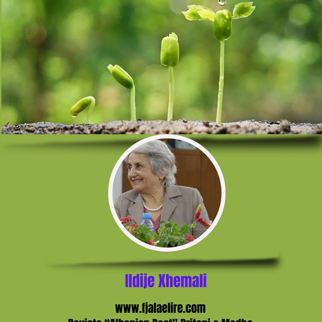 Ildije Xhemali: PËR JU TË PAVLERËSUARIT