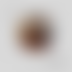 Fatmir Terziu: Mbrëmje me Violinistin Florian Vlashi