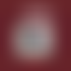 Dr. Gëzim Alpion...