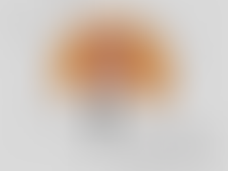 Dod Pjetraj: NJË VOL FJALËSH PËR LIBRIN E LLESH NDOJIT