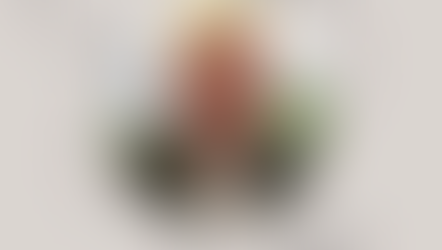 Fatmir Terziu: Tensioni midis fragmentimit dhe shfaqjes së rrjedhshmërisë (“rejet”) në poezinë e Andrea Zarballës