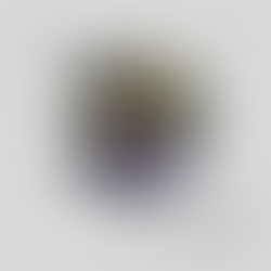 Fatmir Terziu: 14 Shkurt tek „Imperial“: Tre zëra të mirënjohur të këngëve gjithëpërfshirëse…