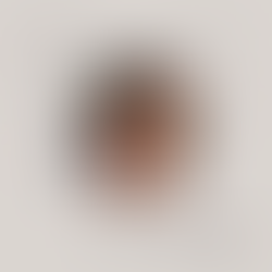 Fatmir Terziu: „Përjetësi“ çel rrugën poetike të re të Mira Hankut