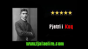 Një Raport për një Akademi