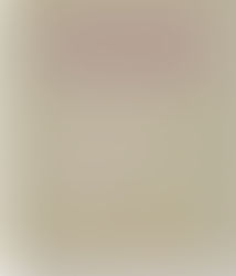 „Swirl Of Words“ edhe shqip