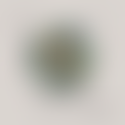 Fatmir Terziu: Pse ende e vuajmë “Shkëlqimin e përkohshëm”?