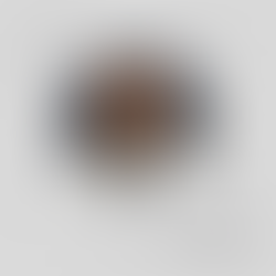 Leonidha Peppo: Konferenca spikati për tematikat