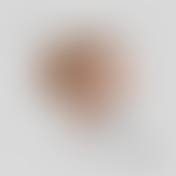 DUDIANA LELA: Vështrim poetik