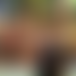 Përtej kulturës dhe dhimbjes së gjuhëve që dalin nga rrënjët