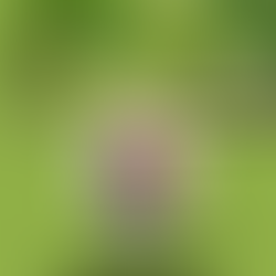 Bujar Qesja: Ermir Shahini era e mirë e shkencës ekonomike