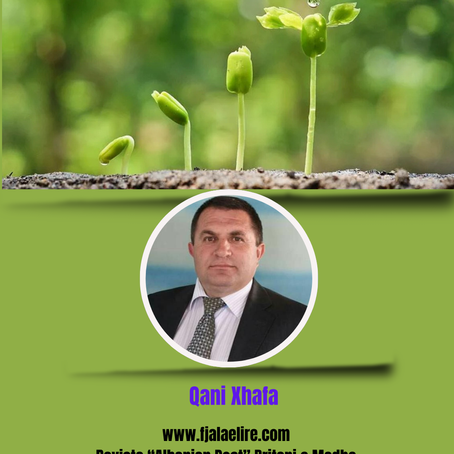 Fatmir Terziu: Një fotografi që risjell optimizëm dhe besim