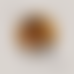 Naum Prifti: PËRVJETORI I MESHËS SHQIPE NGA FAN NOLI