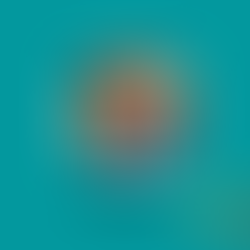 NË KARRIGEN E GJYKATËSIT NË SHBA