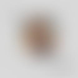 BUJAR QESJA: Demir Rusi emër që i ka dhënë zë Dibrës dhe nder poezisë shqipe