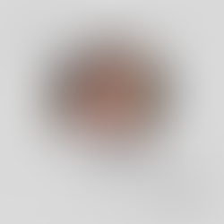 Lumnie Thaçi-Halili: SHTATË RRËFIME PËR ZHBURGIMIN E DRITËS