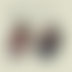 Arti shqiptar në zi...