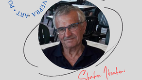 Shahin Ibrahimi: Ndrojtja.