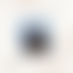 Fatmir Terziu: „Sa mas dore më ke lanë…“