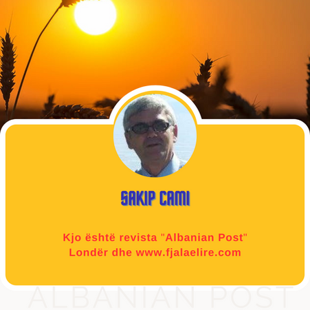 Sakip Cami: Roli i ushtarakëve...