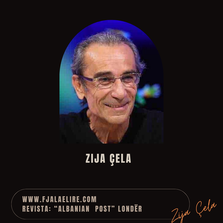 Fatmir Terziu: Pse Zija Çela shprehet: „Dashuri deri në vdekje për gjuhën“?