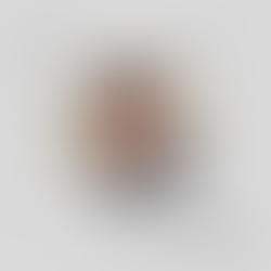 Ahmet Prençi: Komedia e hidhur e një demokracie të deformuar