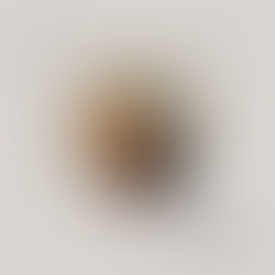 Sadik Bejko: VOTONI SHQIPËRINË JO PARTINË